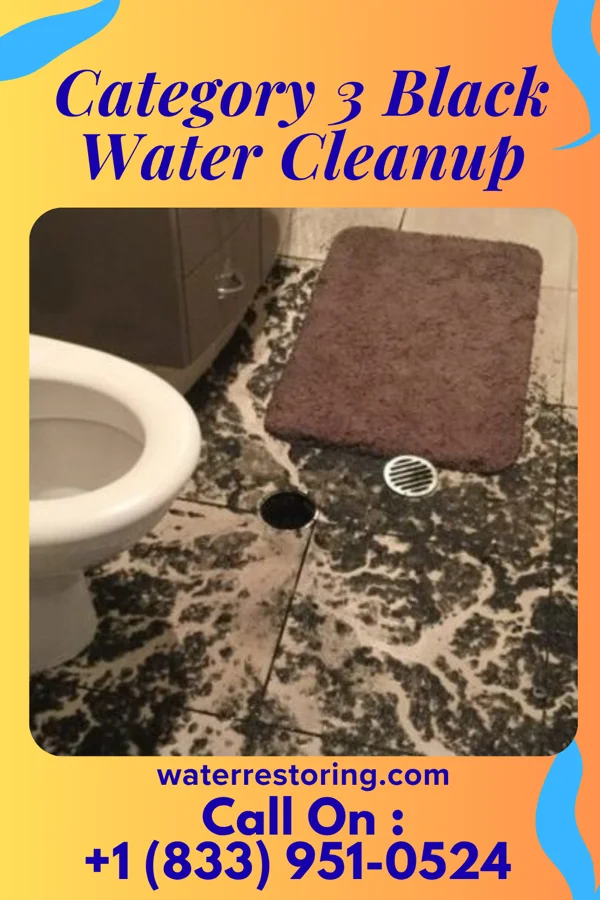 Category 3 Black Water Cleanup in Porum, OK